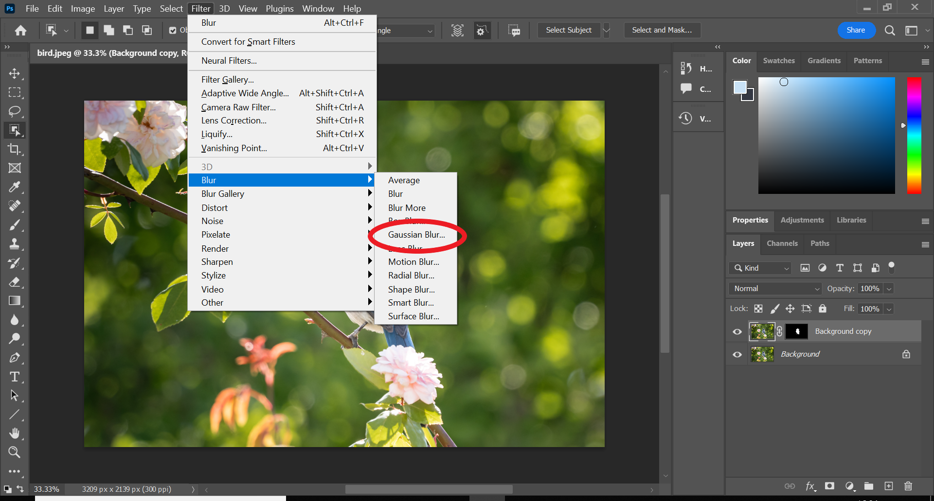 1666723210 508 Comment flouter un objet dans Photoshop