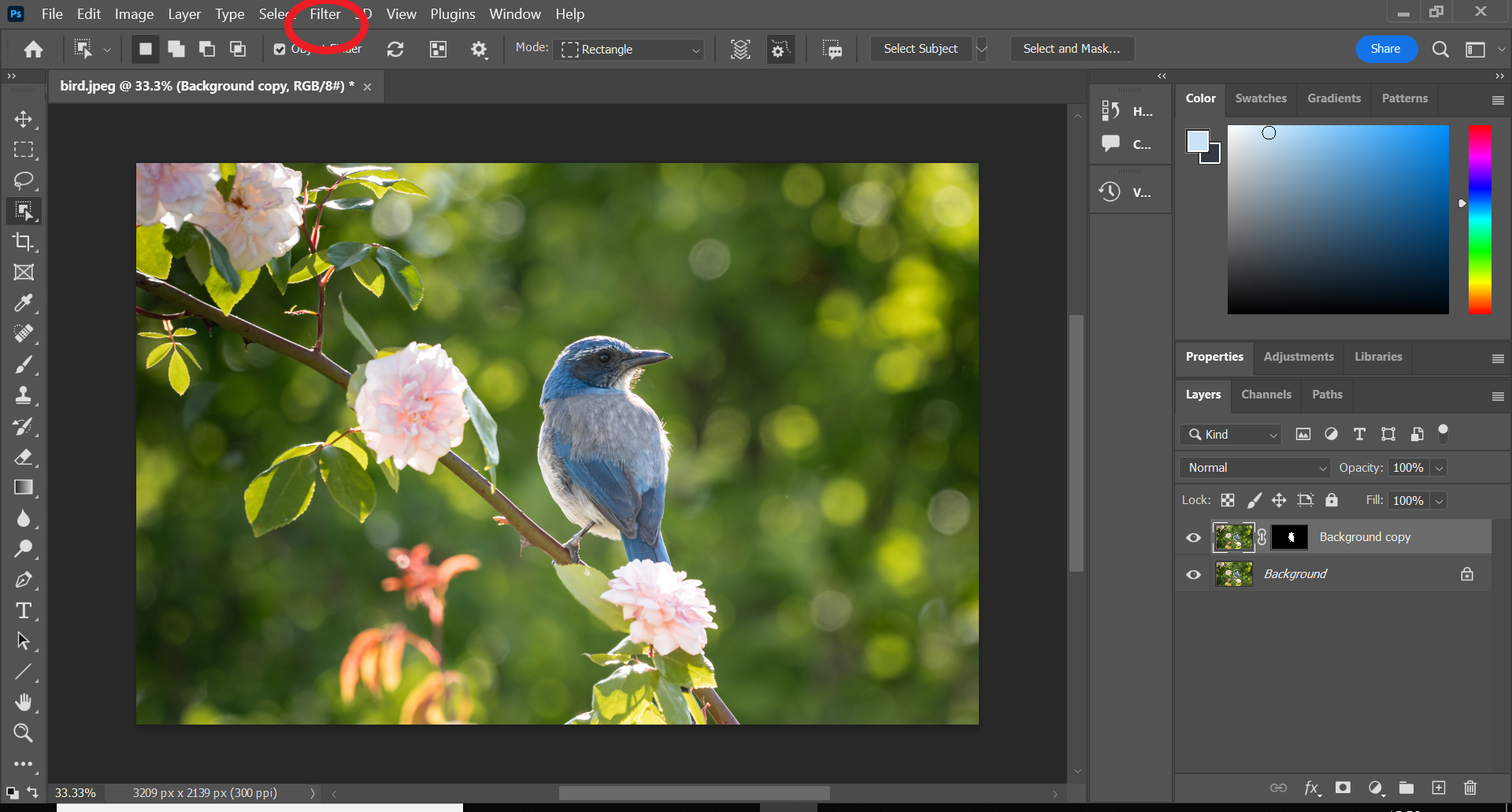 1666723210 710 Comment flouter un objet dans Photoshop
