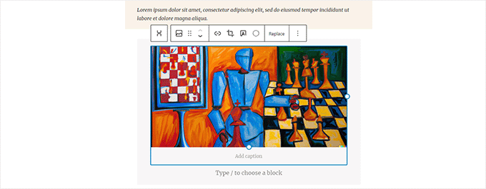 Ajouter une image à la publication et aux pages WordPress