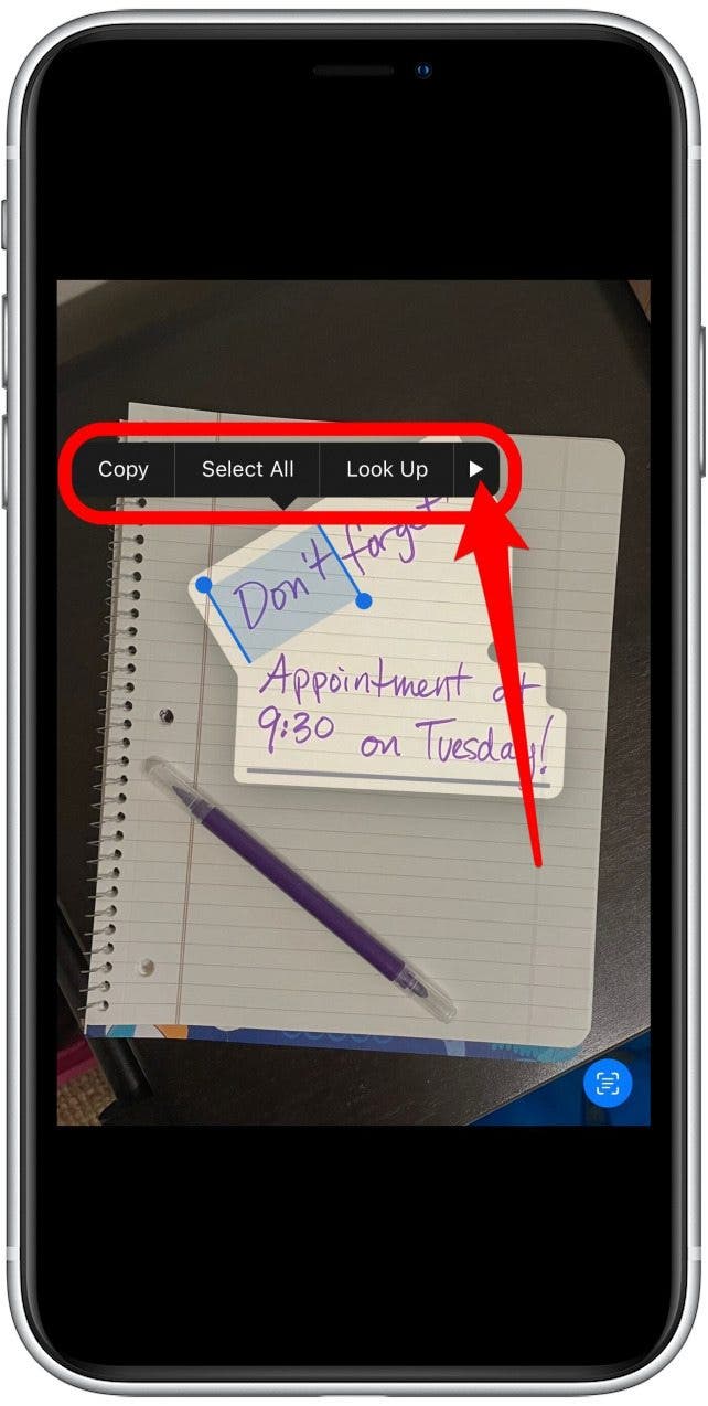 1666737133 106 Comment utiliser le texte en direct sur iPhone dans Photos