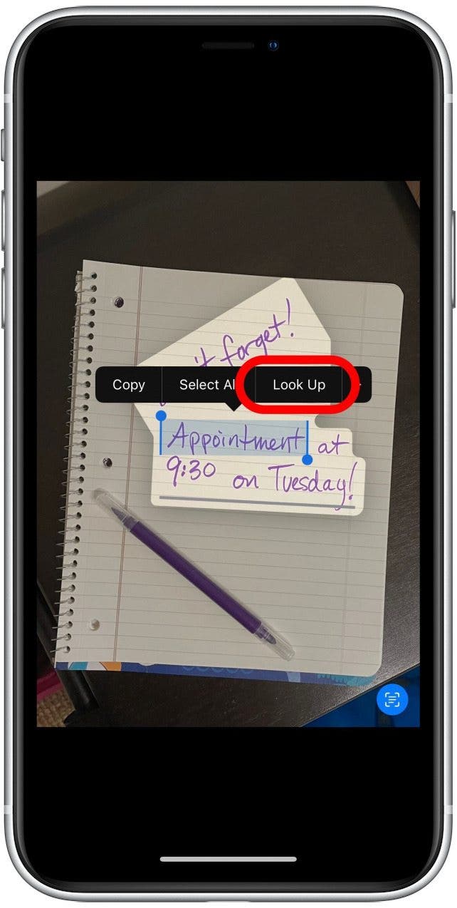 1666737133 32 Comment utiliser le texte en direct sur iPhone dans Photos