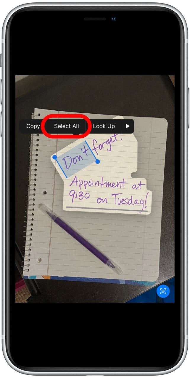 1666737133 687 Comment utiliser le texte en direct sur iPhone dans Photos