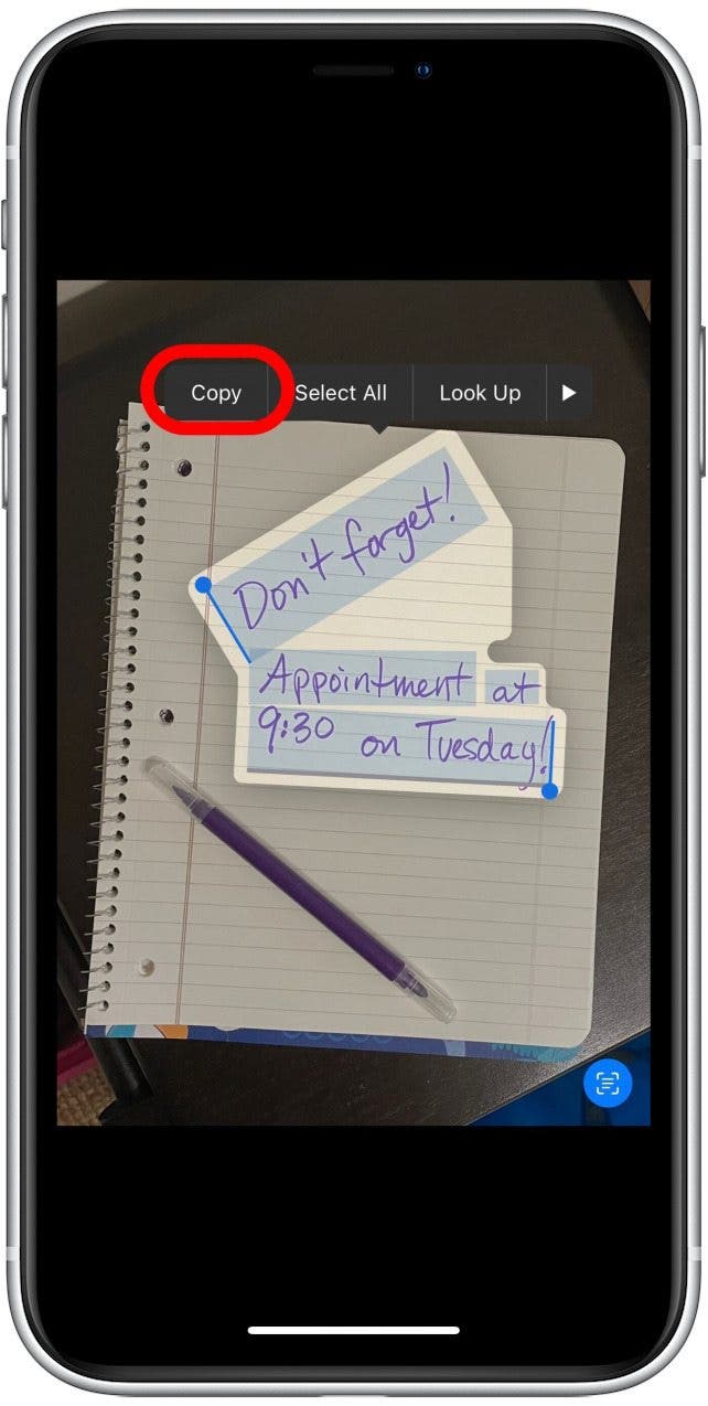 1666737135 820 Comment utiliser le texte en direct sur iPhone dans Photos