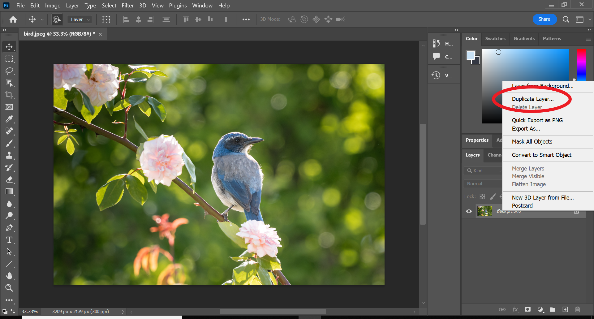 Comment flouter un objet dans Photoshop