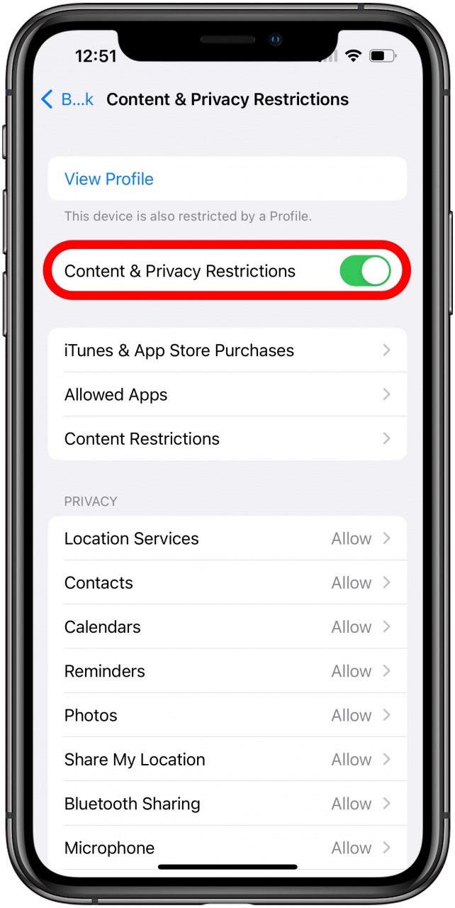 1668640595 399 Corrige la dictee iPhone ne fonctionne pas sous iOS 16