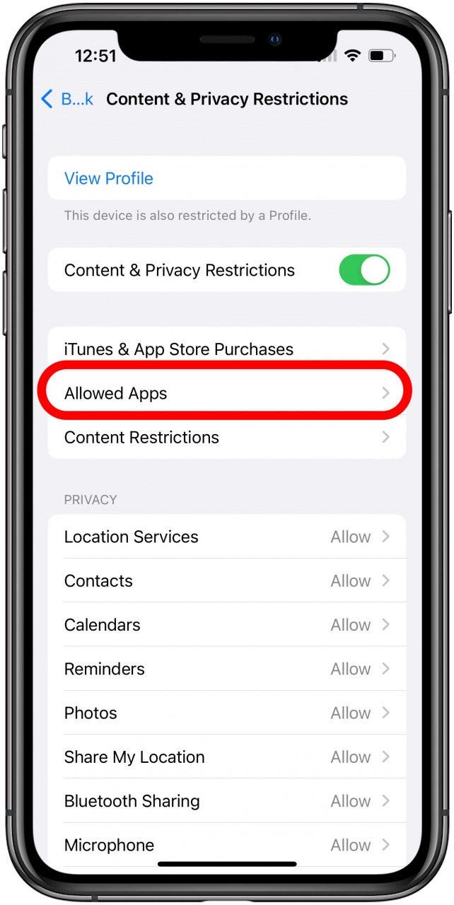 1668640595 933 Corrige la dictee iPhone ne fonctionne pas sous iOS 16