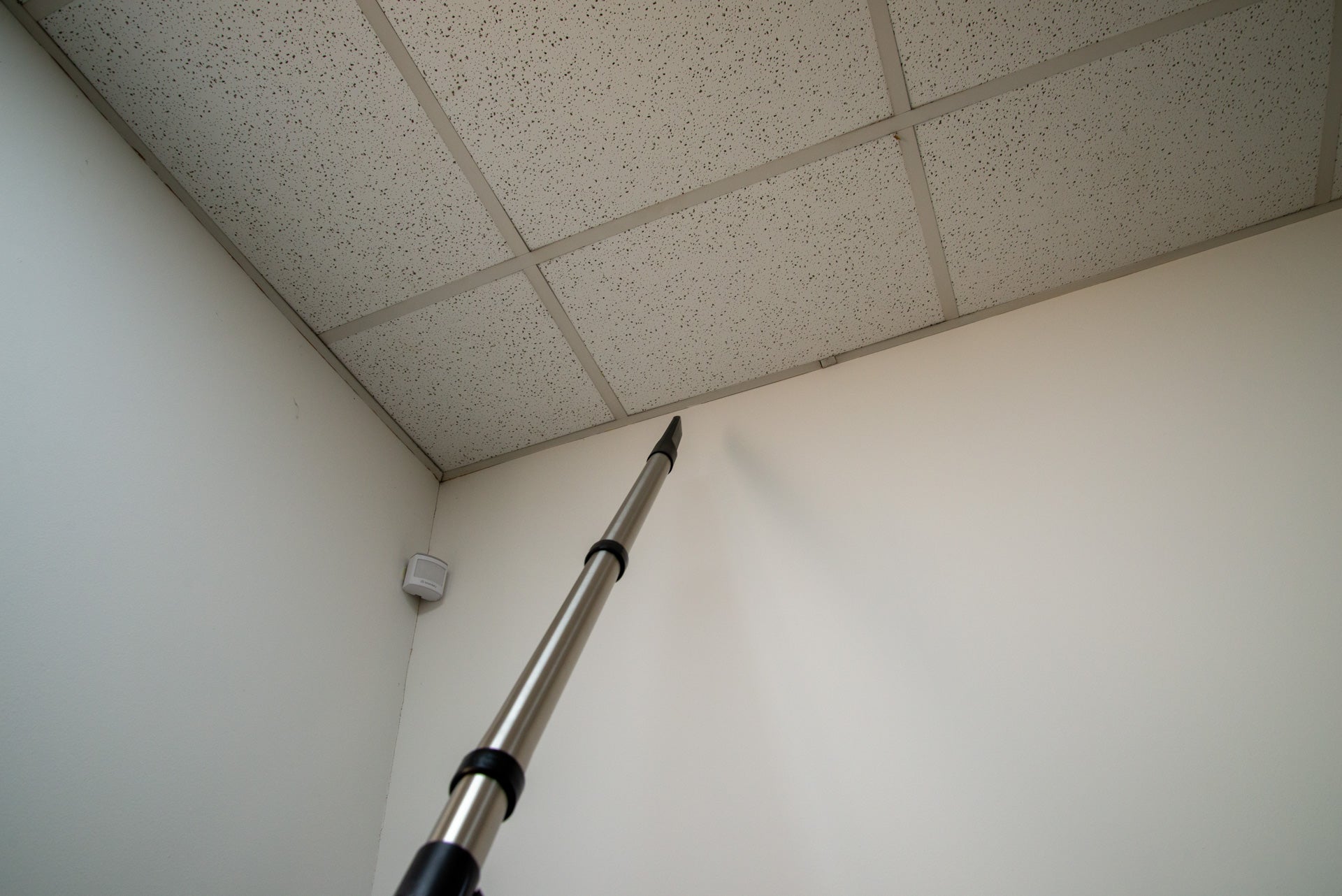 Henry XL Plus nettoie en hauteur