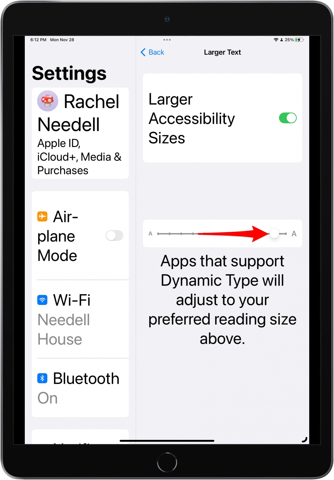 Tailles d'accessibilité sur iPad