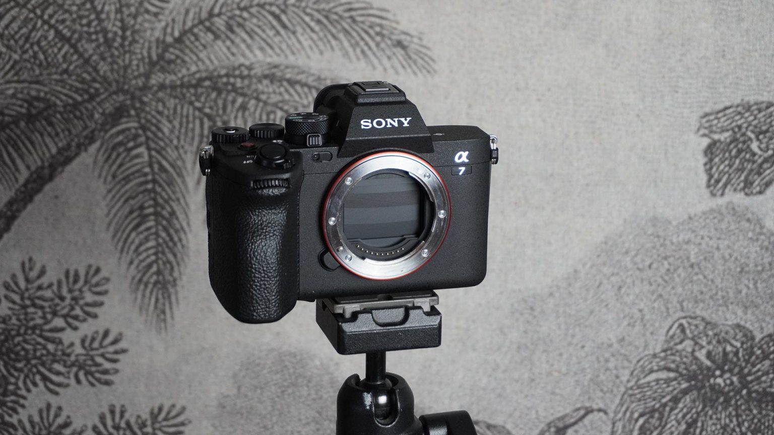 1669989644 Fujifilm X H2 vs Sony A7 IV comment se comparent ils