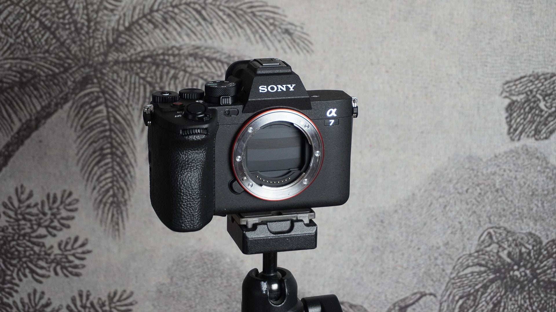 1669989644 Fujifilm X H2 vs Sony A7 IV comment se comparent ils