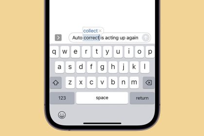 1670921787 Comment reparer la correction automatique ne fonctionne pas sur votre