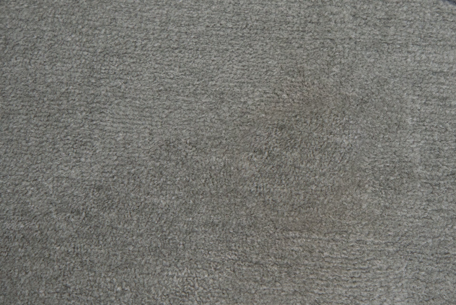 Nettoyer la moquette