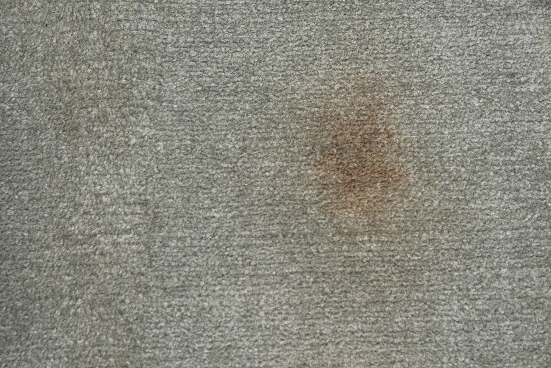Une légère tache de ketchup après un premier passage avec le Tineco Carpet One Pro