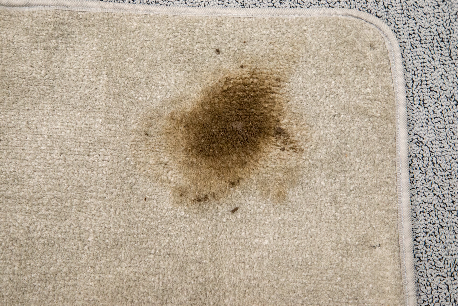 Un tapis sur un tapis avec une tache de salet&eacute; brune