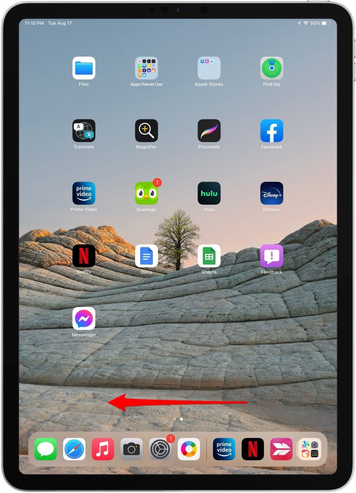Bibliothèque d'applications iPad