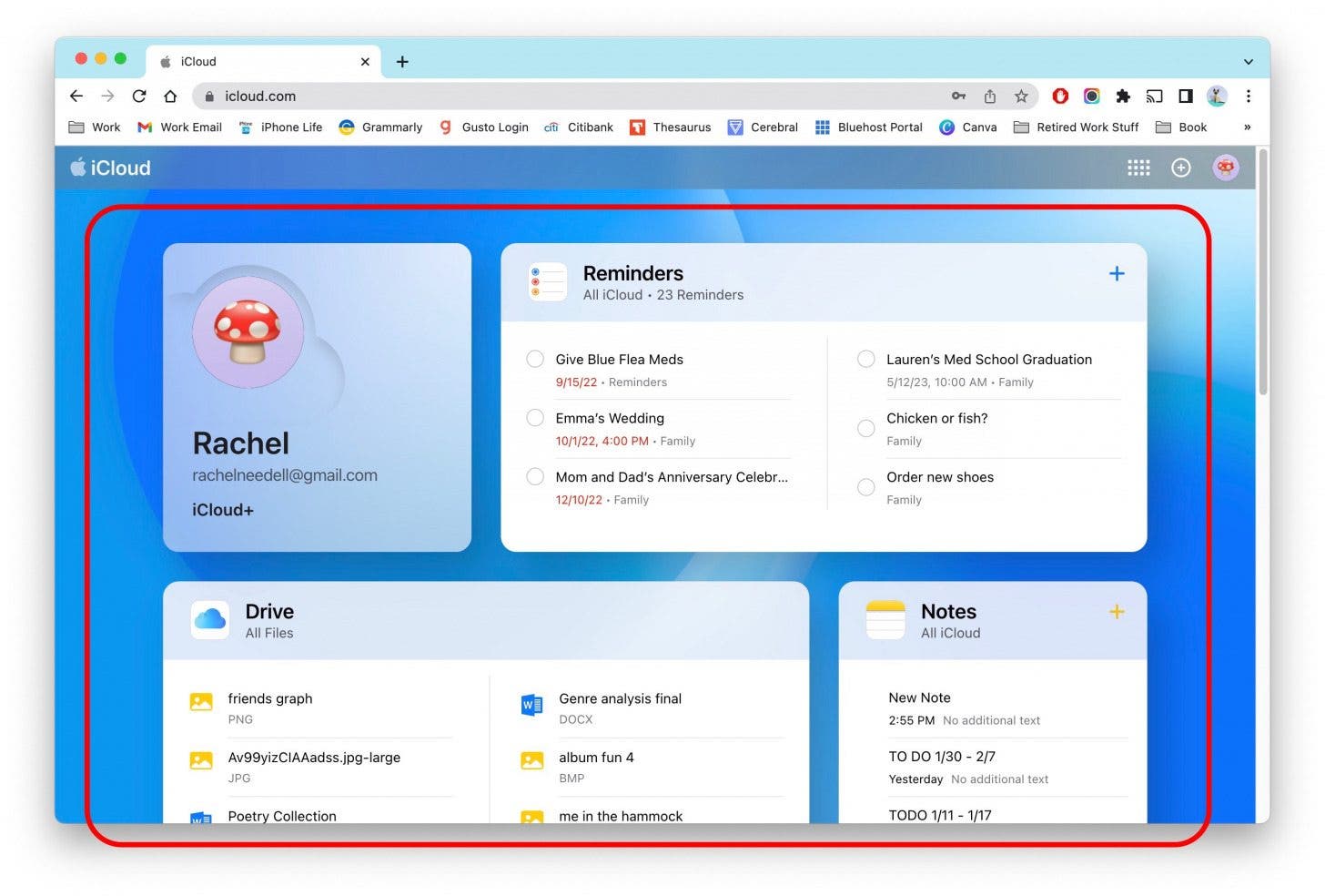 Vous verrez maintenant les widgets et applications standard affichés sur le nouveau site Web iCloud. Ils changeront de taille en fonction de la taille de votre fenêtre.