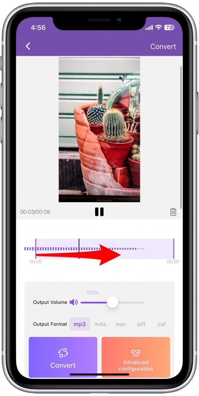Ajustez le clip audio que vous extrayez de la vidéo.