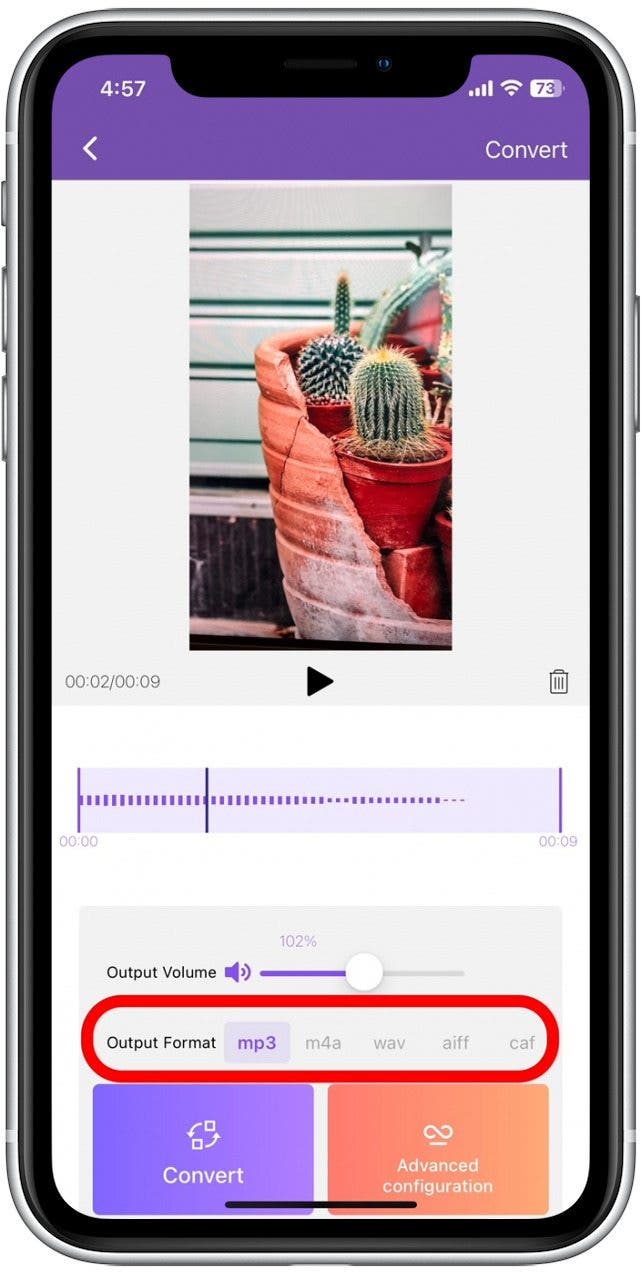 Sélectionnez le type audio sous lequel vous souhaitez enregistrer votre fichier audio uniquement.