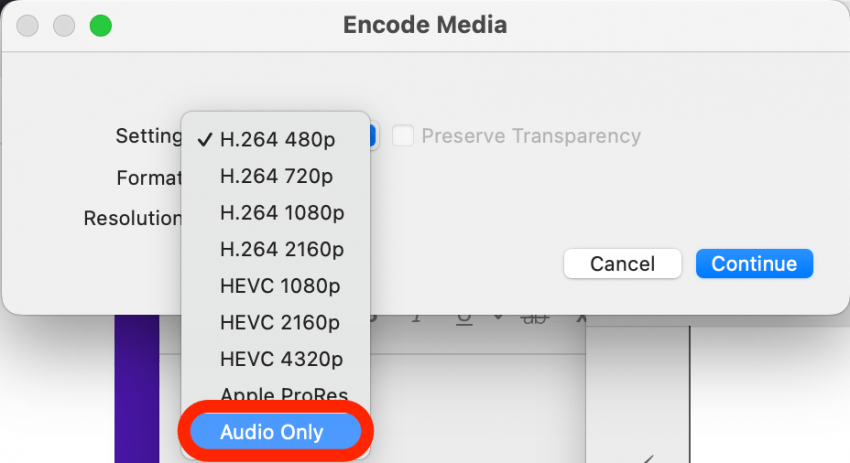 Cliquez sur Audio uniquement. C'est la fonction d'extraction du son.