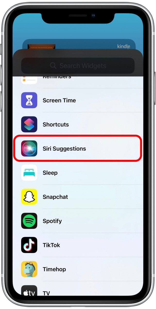 Faites défiler vers le bas et appuyez sur Suggestions Siri.