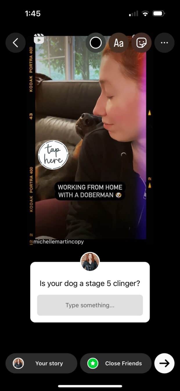 texte, GIF, autocollants Instagram pour raconter une histoire sur le doberman pinscher