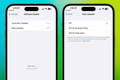 1680695287 Comment sinscrire au logiciel Apple Developer Beta sur iPhone et
