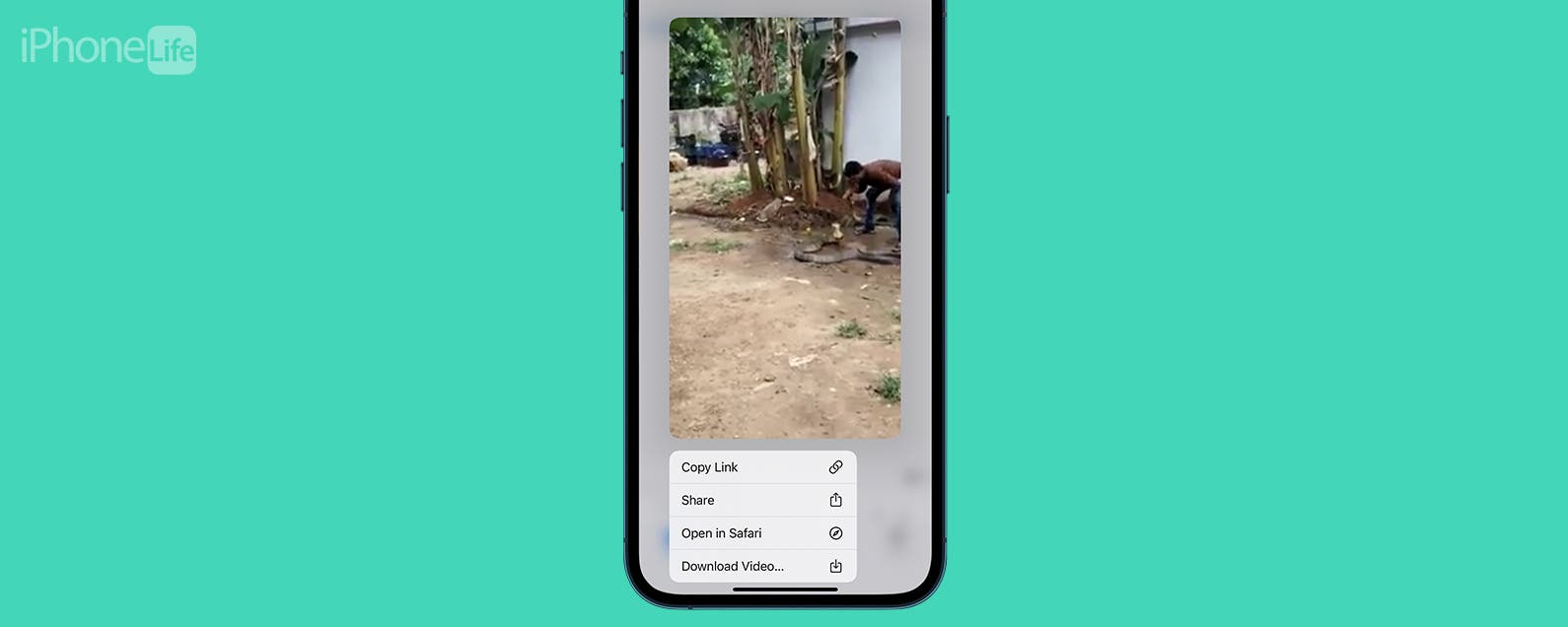 1681187544 Comment enregistrer des GIF Reddit sur un iPhone le
