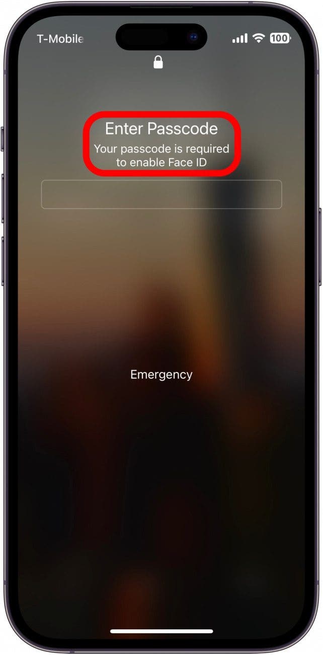 Si vous essayez de déverrouiller l'appareil, vous verrez un message indiquant que votre mot de passe est requis pour activer Face ID.