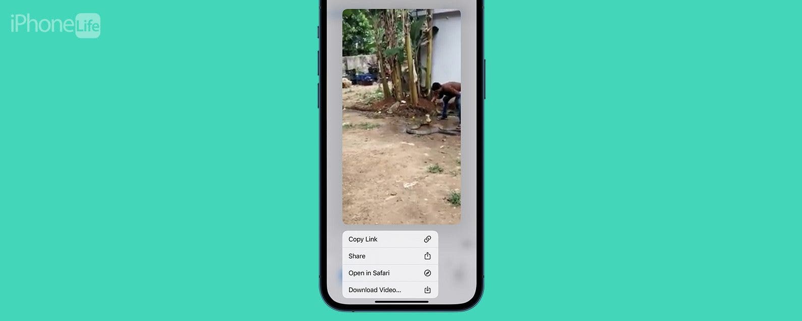 Comment enregistrer des GIF Reddit sur un iPhone le