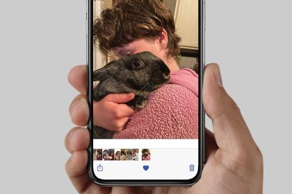 1685104569 Comment mettre vos photos en favoris et les trouver facilement