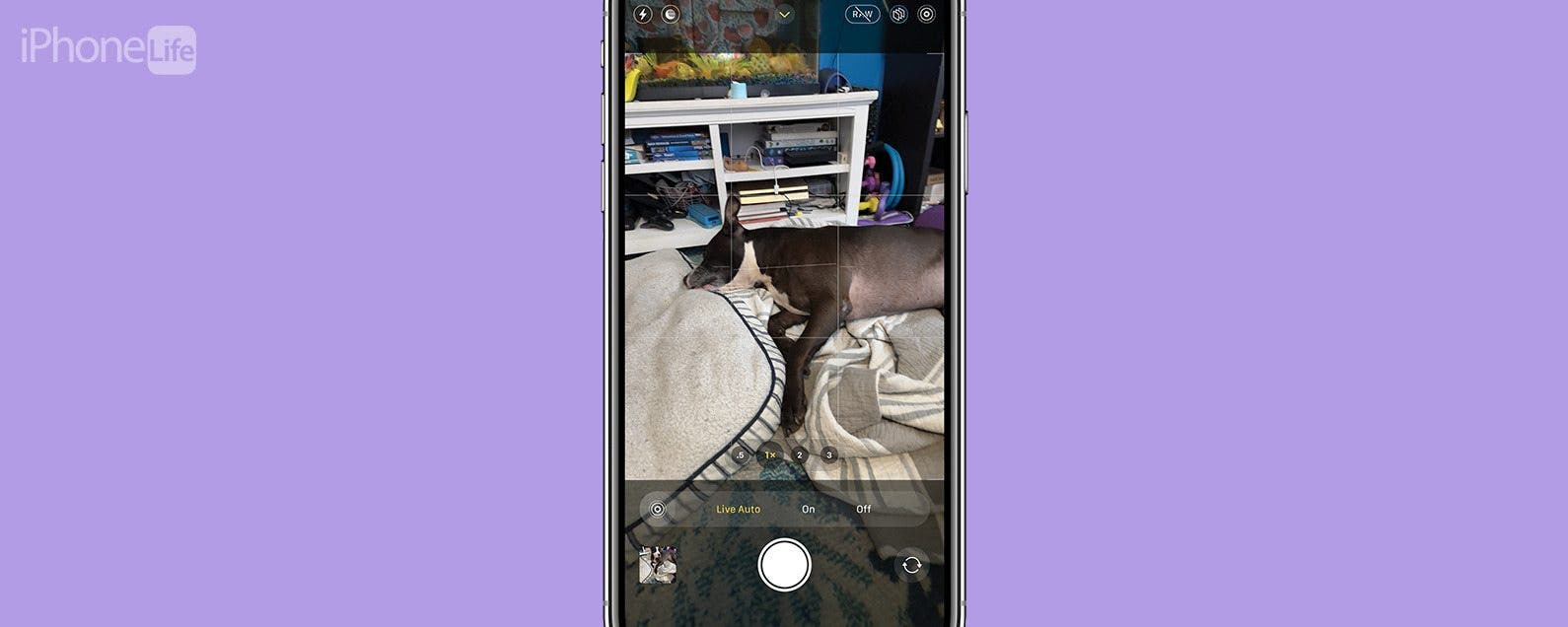 Pourquoi lappareil photo de mon iPhone clignote t il et comment le