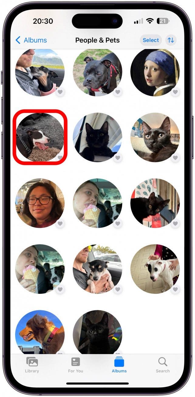 Localisez une image de votre animal de compagnie et appuyez dessus.