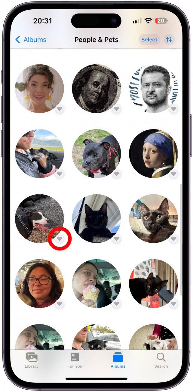 Vous pouvez également ajouter votre animal de compagnie à vos favoris afin qu'il apparaisse en haut.