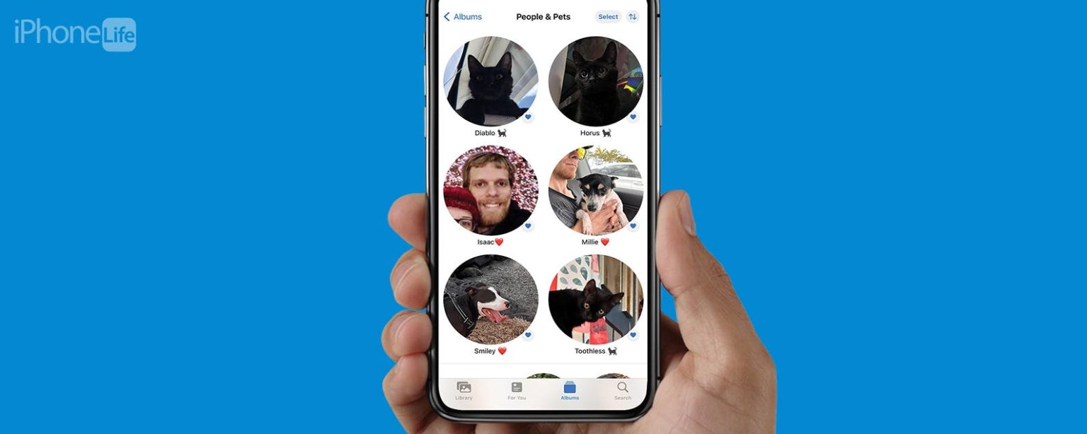 1690881853 Comment marquer les chats et les chiens dans lapplication iPhone