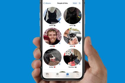 1690881853 Comment marquer les chats et les chiens dans lapplication iPhone