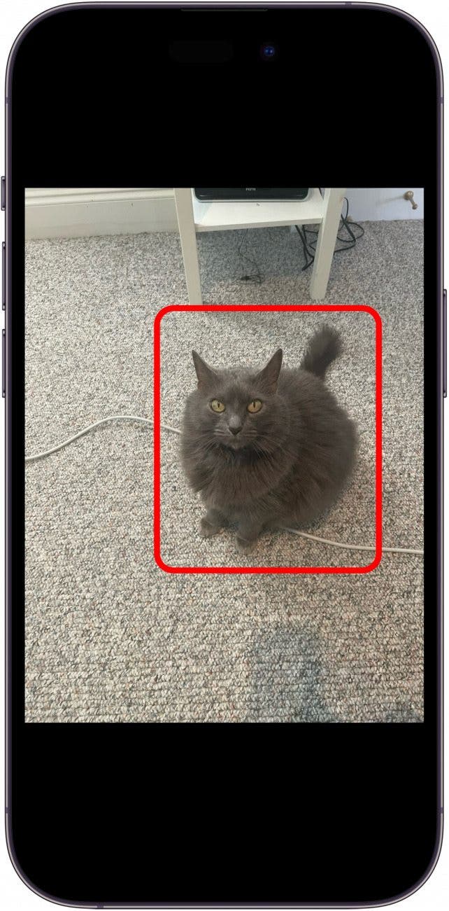 autocollant application iphone