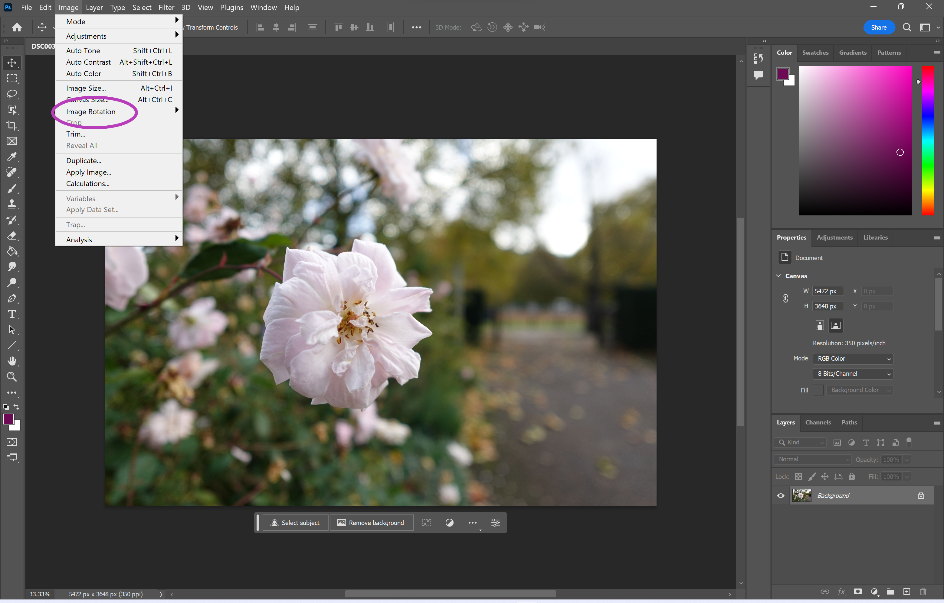 1692974919 484 Comment retourner une image dans Photoshop