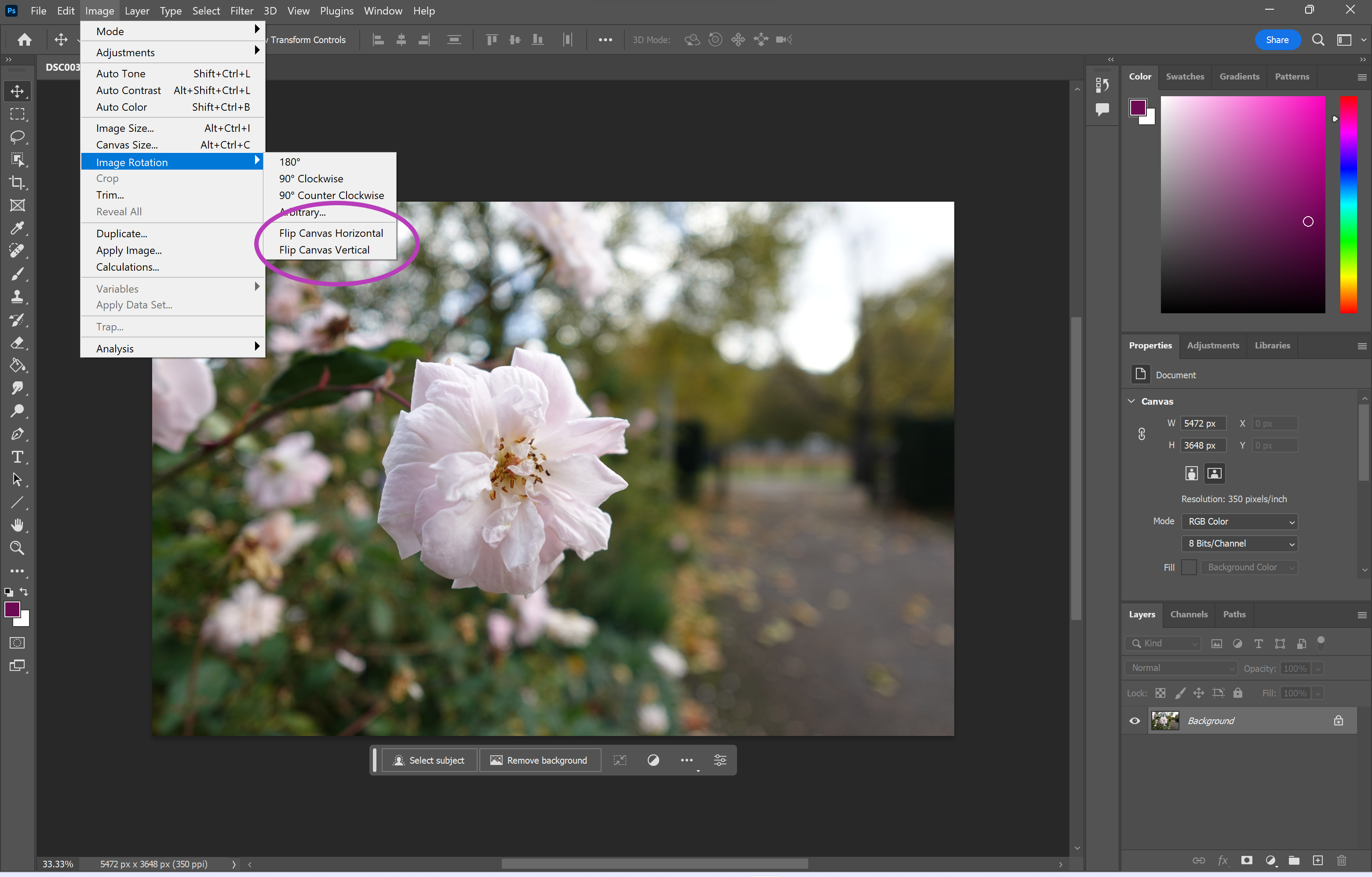 1692974923 479 Comment retourner une image dans Photoshop