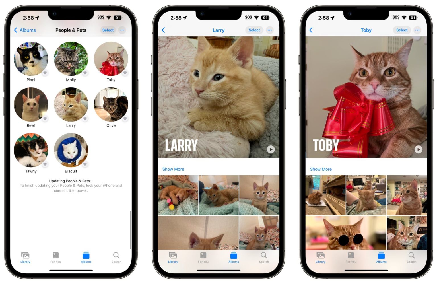 1695065771 iOS 17 Comment nommer vos animaux de compagnie sur les