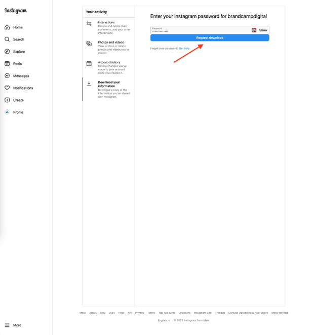 entrez le mot de passe du compte Instagram et cliquez sur télécharger