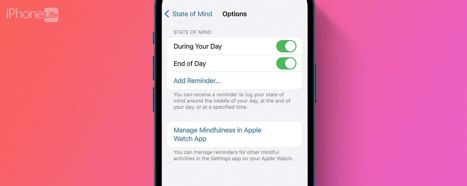 Desactiver les rappels detat desprit sur iPhone iOS 17