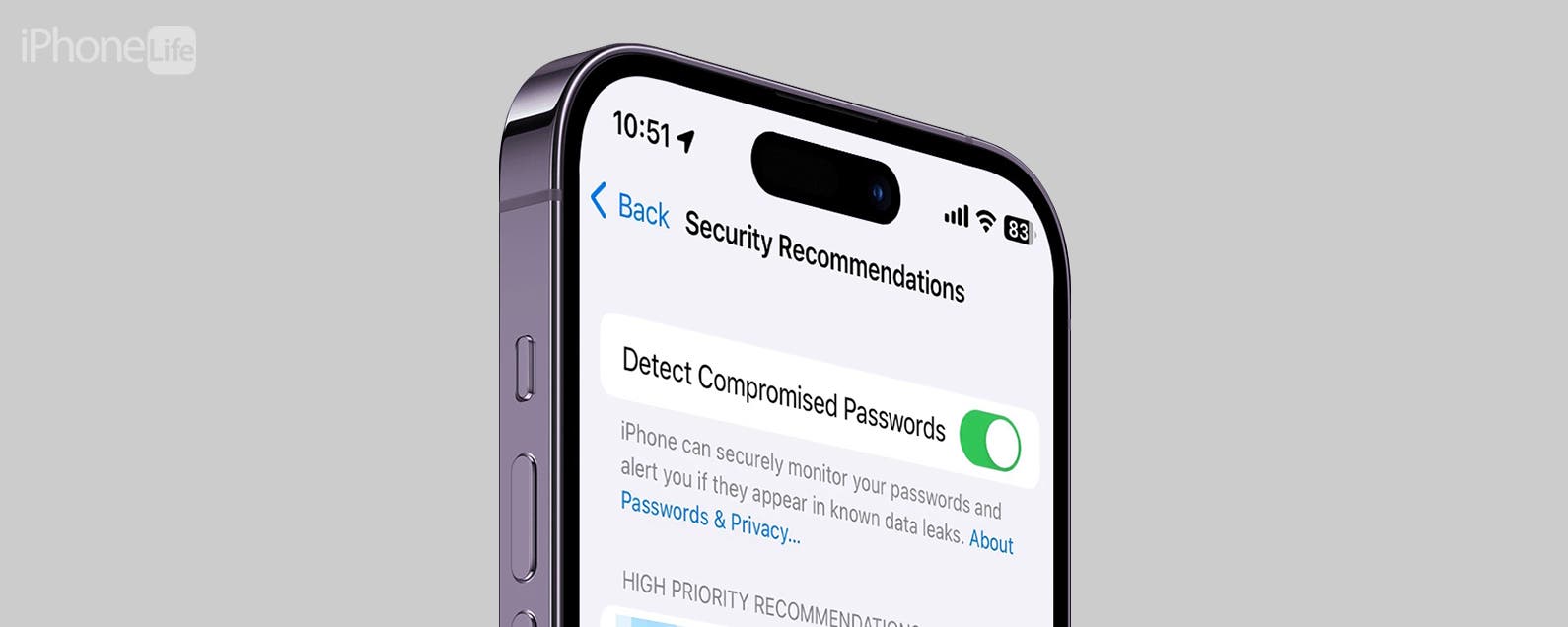 1696215674 Que sont les mots de passe compromis sur iPhone