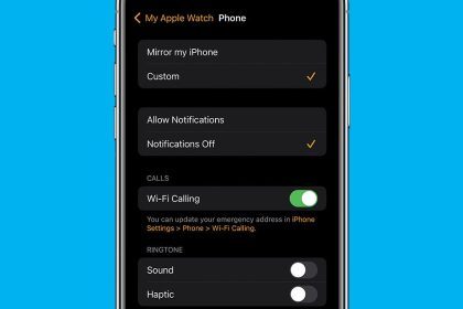 1696546890 Comment desactiver les notifications dappels telephoniques Apple Watch watchOS 10