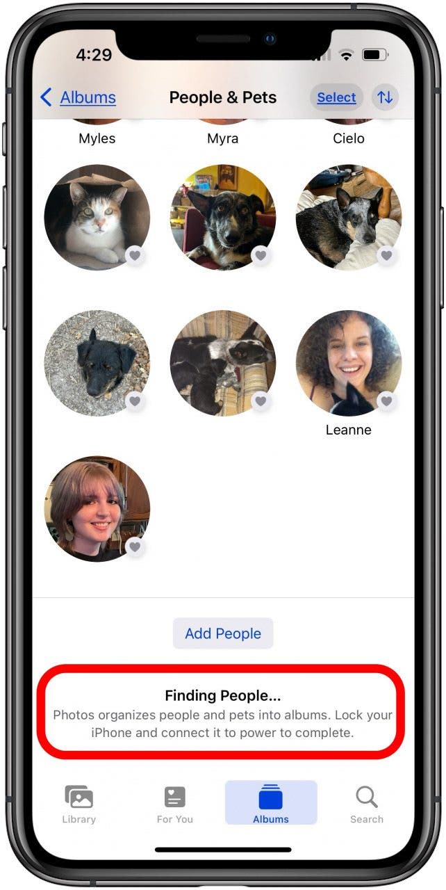ios 17 indexation des albums de personnes et d'animaux de compagnie ios 17 indexation des albums de personnes et d'animaux de compagnie