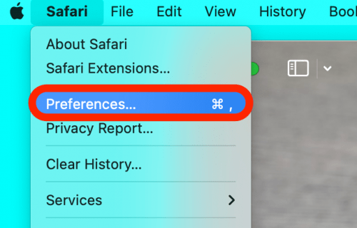 1698330336 984 Comment supprimer rapidement les extensions Safari