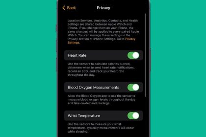 1698783944 Que signifie le voyant vert de lApple Watch watchOS