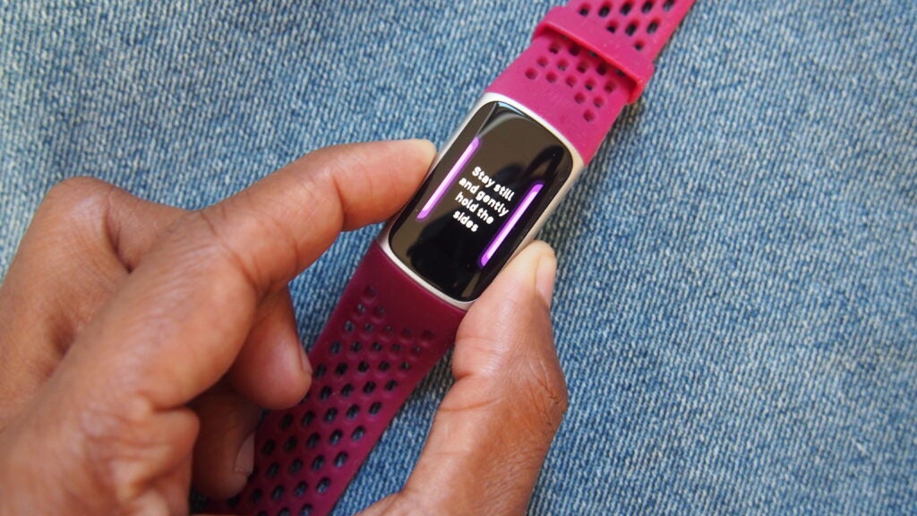 Analyse EDA du Fitbit Charge 5