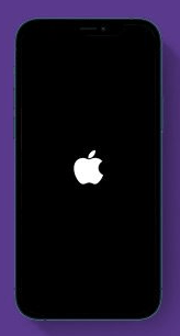 redémarrez l'iPhone ou l'iPad pour faire apparaître l'album des personnes et des animaux domestiques redémarrez l'iPhone ou l'iPad pour faire apparaître l'album des personnes et des animaux domestiques