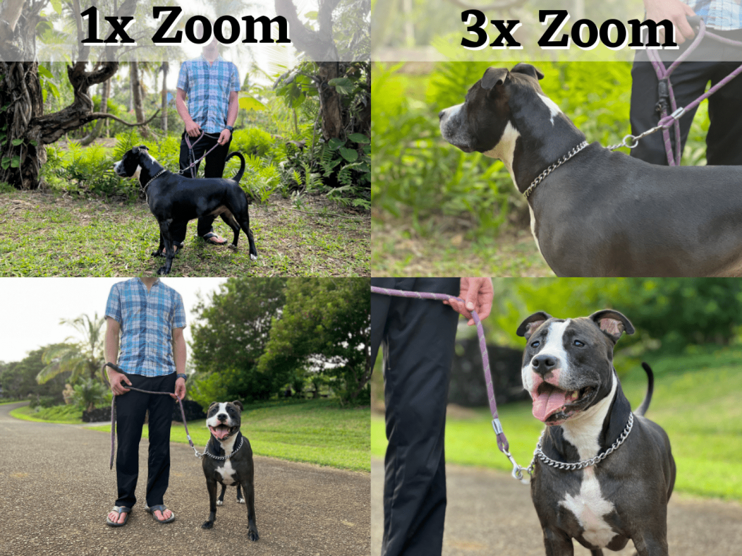 Le zoom 3x signifie