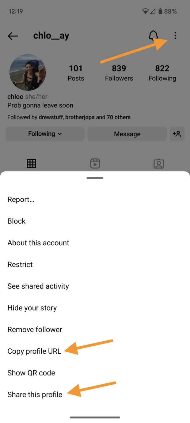 Copiez l'URL du profil ou partagez ce profil